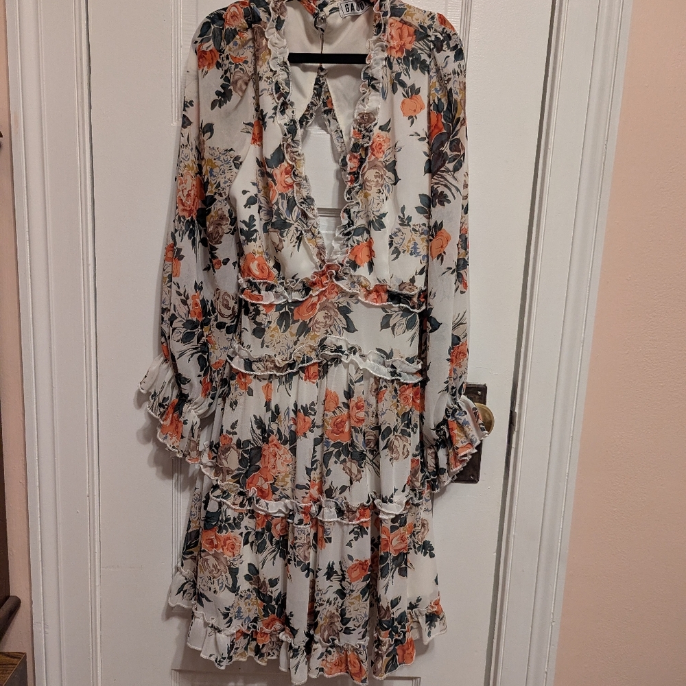 Open Back Floral Ruffle Dress - Picture 4 of 9
